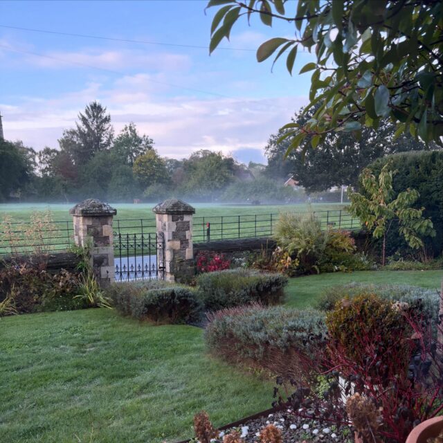 Good morning Autumn 🍂 and we have a packed weekend 💛